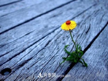 有一种努力叫：以为自己很努力，原来是在刷存在感