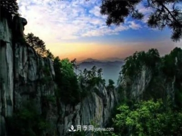 一县一品公益助农，河南南召特色农产品辛夷