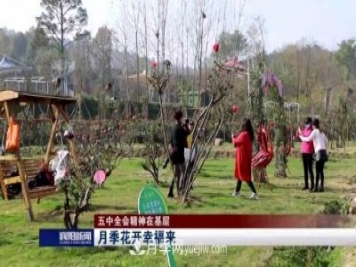 襄阳襄城区发展月季产业花开幸福来
