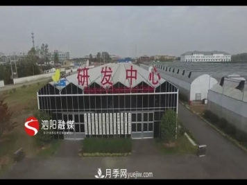 江苏泗阳新境界花卉基地：“花样”产业助力乡村振兴