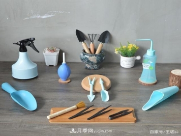 花卉栽培的六大基本工具，你准备好了吗？