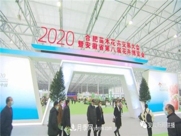 2600多种精品苗木花卉亮相2020合肥苗交会