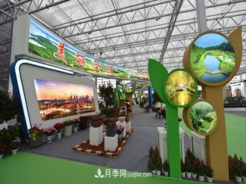 合肥苗交会签约77亿元，合作成果丰硕