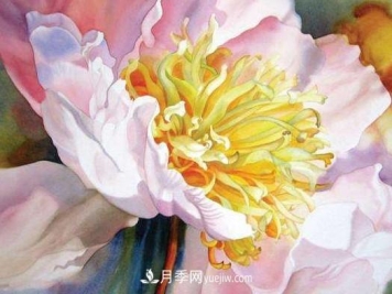 2020-2024年中国花卉市场发展预测分析