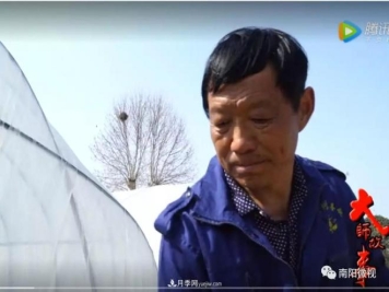 南阳月季大师——王怀青