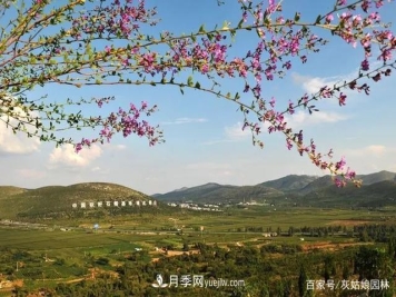 安徽淮北旅游，9个必去的景点盘点