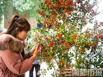 湘赣边首届花木博览会在湖南浏阳启幕