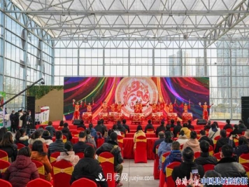 安徽肥西上派镇：花木之乡转型发展 云享乡村振兴苗木