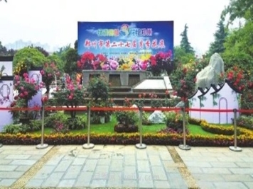 30万株月季花美丽绽放 郑州第27界月季花展来了