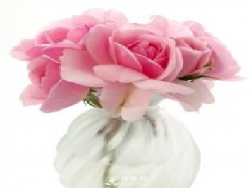 月季对风水有影响吗？南阳月季告诉你