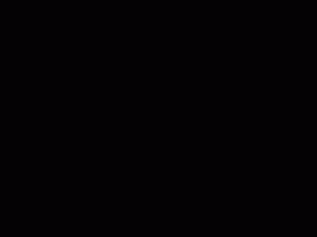 覆盆子巧克力月季
