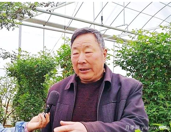 南阳月季大师里的父子兵: 匠心承一脉 莳花弄草人(图2) 南阳月季大师里的父子兵: 匠心承一脉 莳花弄草人(图2)