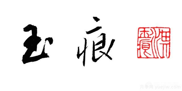 最香的几款月季品种是什么？(图6)
