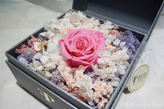 干花和永生花区别(图2) 干花和永生花区别(图2)