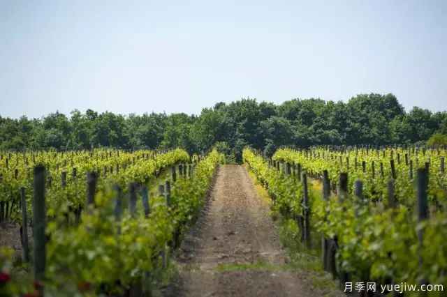 做农业,你必须知道这几种高效生态农业模式(图1) 做农业,你必须知道这几种高效生态农业模式(图1)